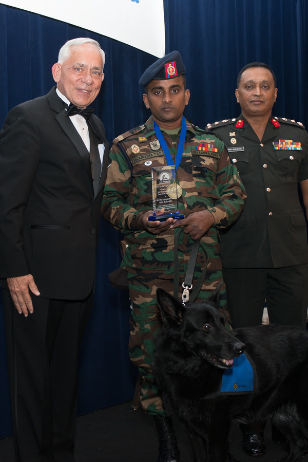 A Mine Detection Dog