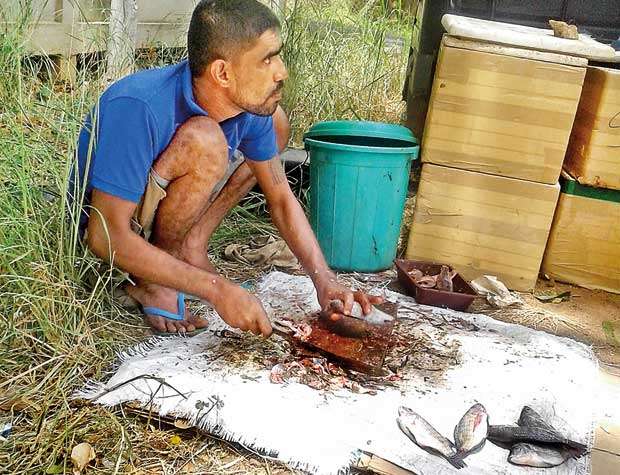 image_1534307208-be7f8523b5