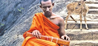 The Mahavansa phobia