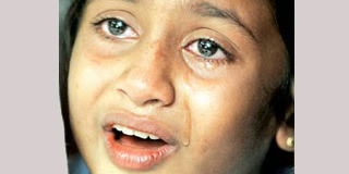 A story of a girl, a photograph and a photographer