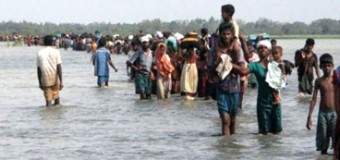 No more investigations