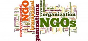 Who needs political NGOs? What have they achieved?