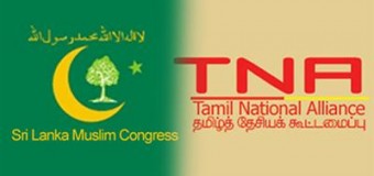 TNA back empty hand from India