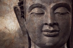 Excavations prove spread of Buddhism in Tamilnadu