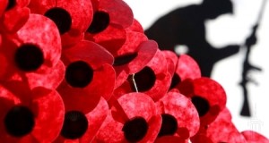 Saluting war veterans – then and now – From poppy to suriyamal and back to poppy