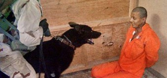 CIA torture report: Next UK