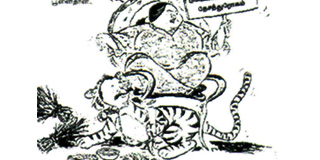 A checklist on Sinhala political cats (හොර බළල්ලු)