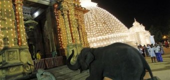Buddhists must not take part in petitions to remove the historical place of Temple Elephants