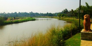 Who gave orders to destroy the Wattala-Kalu Ela Jogging Track in Gampaha District?