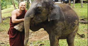 Whither law & order in Sri Lanka since 2015