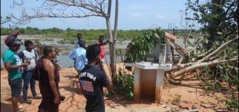 Boo Tree cut and Damage to Buddhist Worship Place in Trincomalee