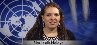 UN ATTACK ON ARTICLE 9 OF THE CONSTITUTION WHICH GIVES BUDDHISM ITS RIGHTFUL PLACE