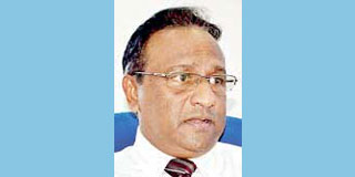 British wartime dispatches not considered in preparation of UK human rights report