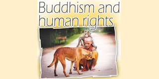 Buddhism and Human Rights