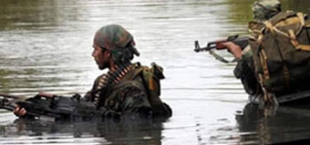 NPM, The Patriots, Aren’t They All