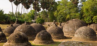 UNP MP Cyril Mathew Report to UNESCO: Proof Sinhalese were living in the North before Tamils