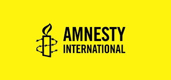 AMNESTY INTERNATIONAL ON A WILD-GOOSE CHASE