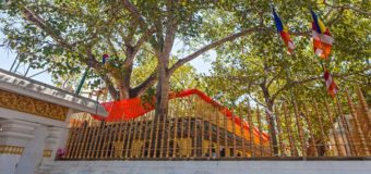 On Wesak 14 May 1985 Tamil Terrorists killed 146 civilians. On Easter Sunday Islamic Terrorists killed 300 civilians