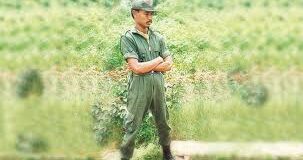 හසලක වීරයා