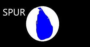 SPUR highlights Importance of Sinhala Language in Constitution Amendment.