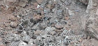 Over 3,600 rounds rifle ammo found in Palaly