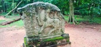 කුරුණෑගල පැරණි රජමාලිගා පරිශ්‍රය.