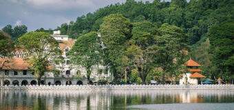 අන්තවාදයට යට වූ ඇහැලේපොල කුමාරිහාමි මාවතේ අභිරහස් කථාව………..