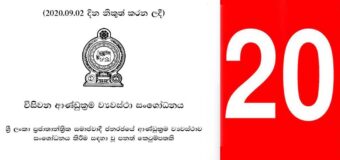 අලුත් ව්‍යවස්ථාව 20ට කැරට් අලයක් ද?