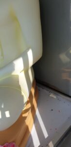 Tamil Extremist damage Buddha Statue in University Jaffna