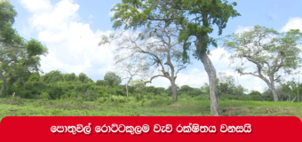 පොතුවිල් වැඩ බලන මහේස්ත්රාත් රොට්ටකුලම වැව් රක්ෂිතය වනසමින්
