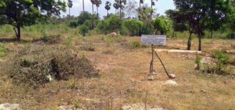 යාපනයේ යළි පිබිදෙන දෙවනපෑතිස්ස සමයේ තිස්ස මහා විහාරය –  Revival of the Tissa Maha Viharaya in Jaffna