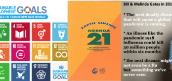 Is UN One World Government 2030/Agenda 21 & Corona Pandemic linked?