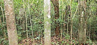 මුලතිව් කුරුන්දි විහාරයේ කැණීම් අරඹා එහි ගවේෂණ කටයුතු සිදුකිරීමට එරෙහිව LTTE  එම්.ඒ.සුමන්තිරන්  ගොනු කර තිබේ