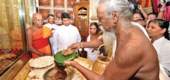 දළදා හිමි බැතියෙන් පුදන ආදිවාසීන්ගේ මී පැණි පූජාව