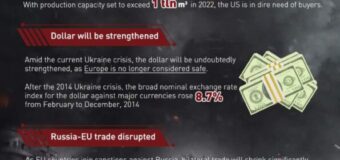 Did US use Ukraine-Russia war to weaken Europe?