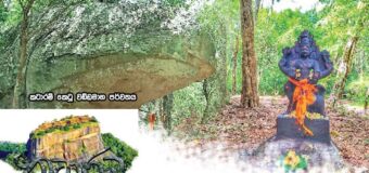 මහා පබ්බත විහාරය බොදු උරුමයෙන් ගැලවේද?