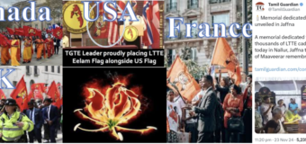 Why is it that Tamil Eelam is sought by only Tamils living overseas?