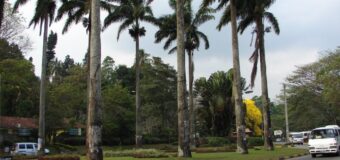 ගලහ හන්දියේ වෙසක් කූඩුව නොසැදීමේ ලැබීම මෙක්ෂිරපථයටම ද..!?