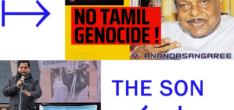A Tale of Two Generations: Are you part of the Lived Experience or Manufactured Diasporic Narrative?