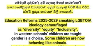The Hidden Agenda: Grade-Level Breakdown Shows How Reforms Erode Nationalism While Introducing Globalist Gender Ideology