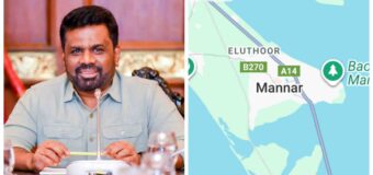 Sri Lanka pauses 2 Mannar Wind Power Plant projects to address concerns