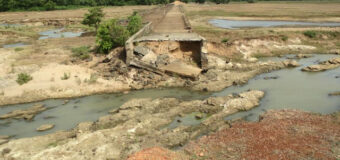 ඇයි කොටියා මාවිල් ආරැ වැහුවේ ?