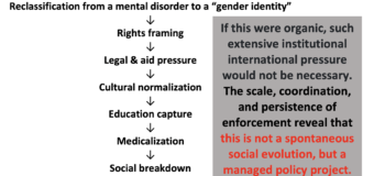 How LGBTQIA was turned into a global Geopolitical tool