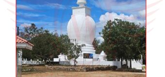 අනුර නොදන්න යාපනය තිස්ස විහාරයේ ඉතිහාසය…..