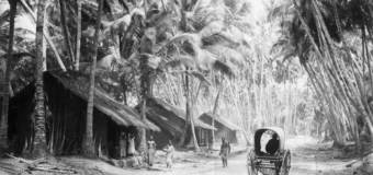 Road to “Independent” Sri Lanka: Pre-Colonial Life — A Civilisational Model