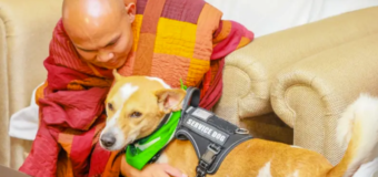 ‘සැබෑ බුදු දහම’ සොයා යන Walk for Peace පා ගමනට නායකත්වය දෙන පූජ්‍ය පඤ්ඤාකර හිමි යනු කවුද?