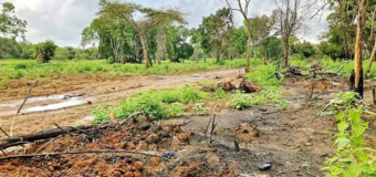 බුද්ධ ශාසනය, මහ සඟරුවන සහ ජාතිය ශක්තිමත් කළ හැකි නඩු තීන්දුවක්