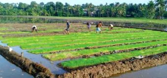 මඩකලපුව දිවුලපතාන ගොවි ඉඩම් ගැටළුව