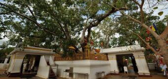 දුෂිත අමාත්‍යවලා සහ අනුරාධපුර  පූජා භූමිය